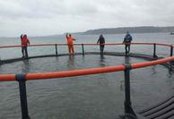 Marine Farming Image